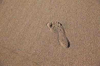 《弹丸论破》黑白熊英语演员突然发声 11月或有新作